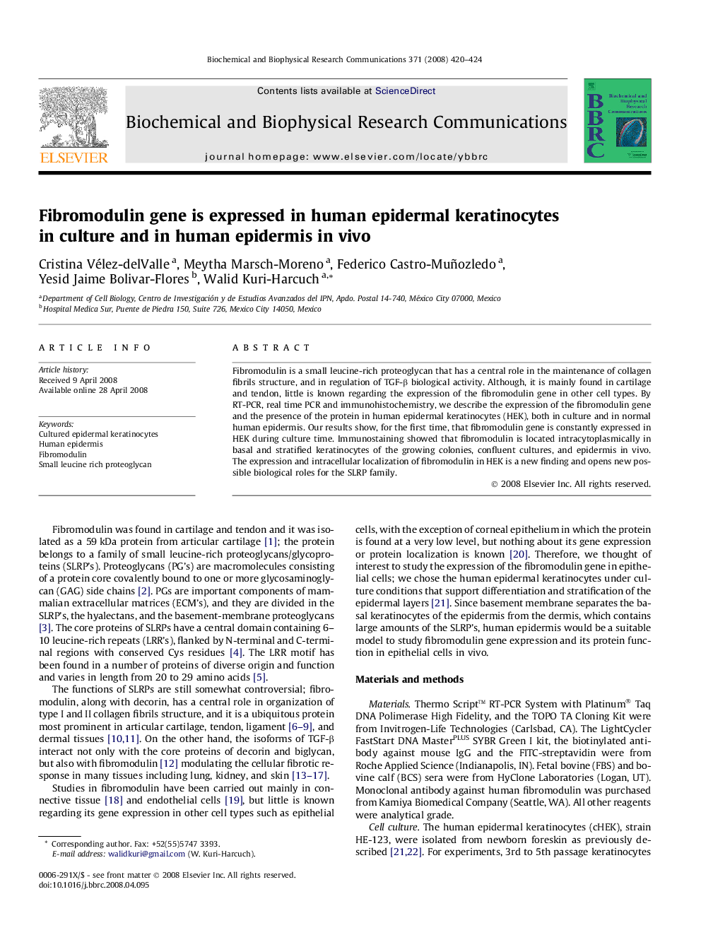 Fibromodulin gene is expressed in human epidermal keratinocytes in culture and in human epidermis in vivo