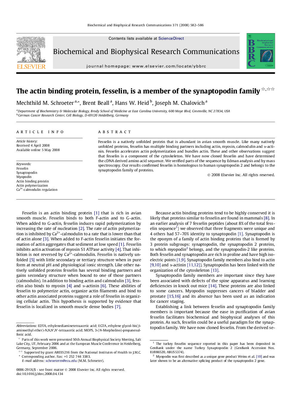 The actin binding protein, fesselin, is a member of the synaptopodin family 