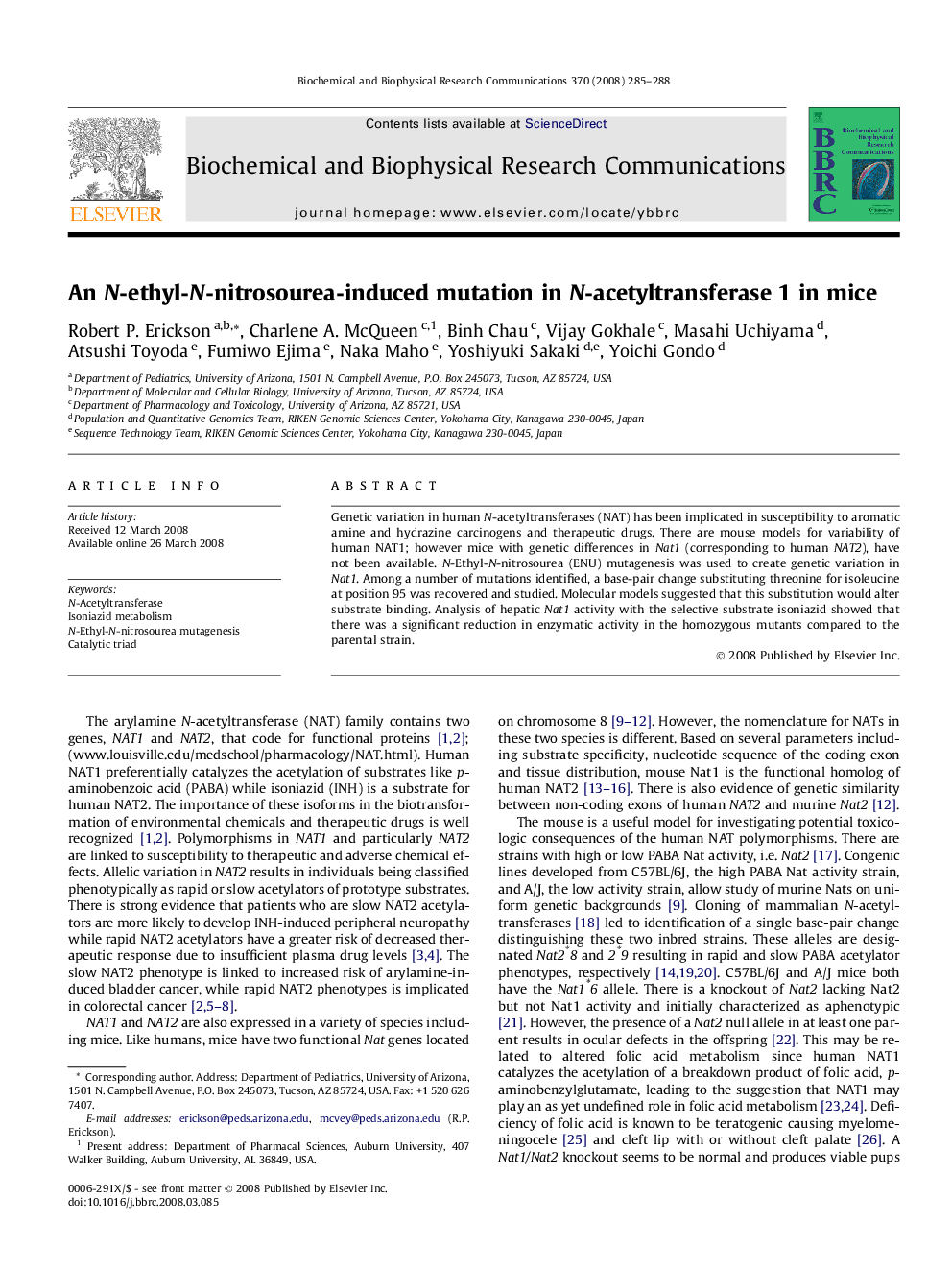 An N-ethyl-N-nitrosourea-induced mutation in N-acetyltransferase 1 in mice