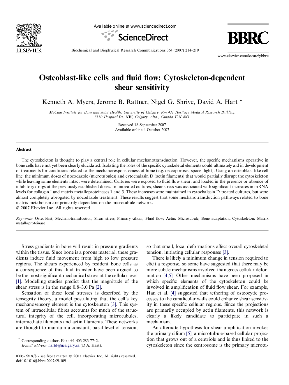 Osteoblast-like cells and fluid flow: Cytoskeleton-dependent shear sensitivity