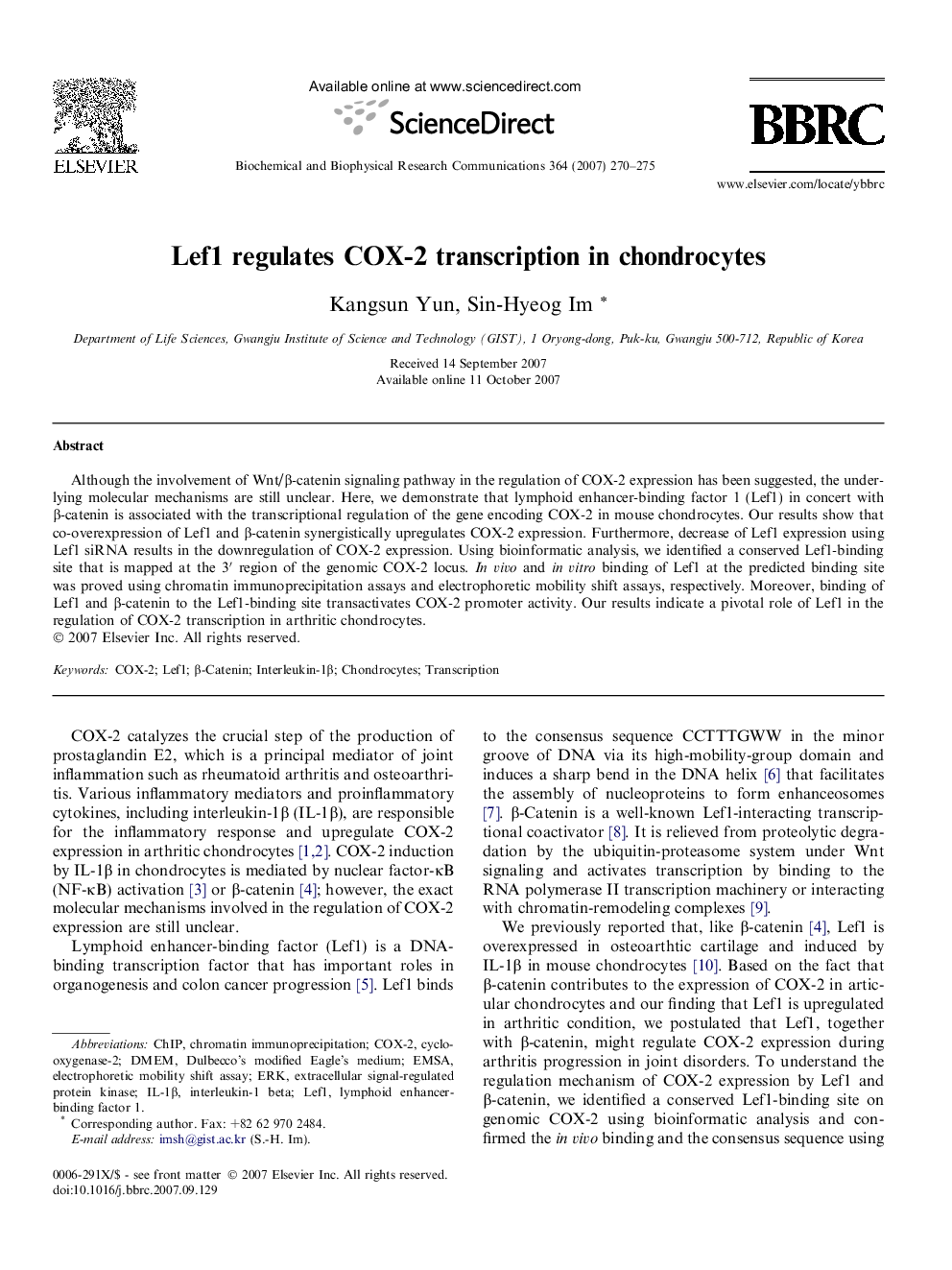 Lef1 regulates COX-2 transcription in chondrocytes