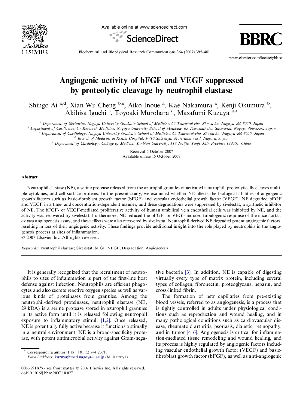 Angiogenic activity of bFGF and VEGF suppressed by proteolytic cleavage by neutrophil elastase