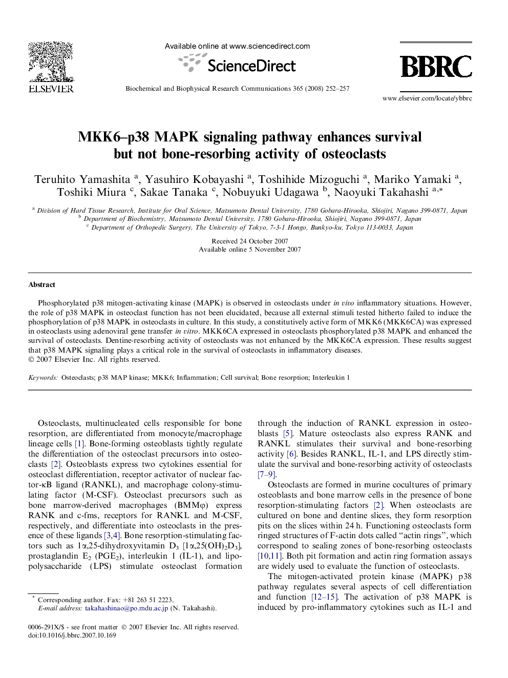 MKK6–p38 MAPK signaling pathway enhances survival but not bone-resorbing activity of osteoclasts