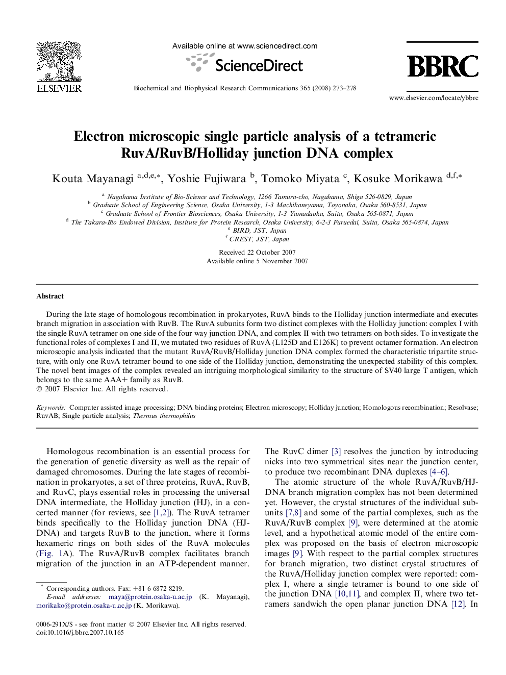 Electron microscopic single particle analysis of a tetrameric RuvA/RuvB/Holliday junction DNA complex