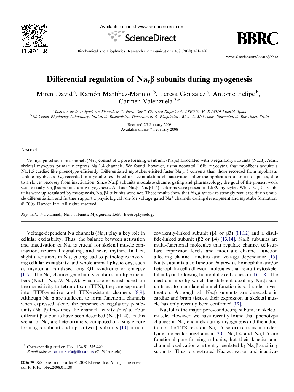 Differential regulation of NavÎ² subunits during myogenesis