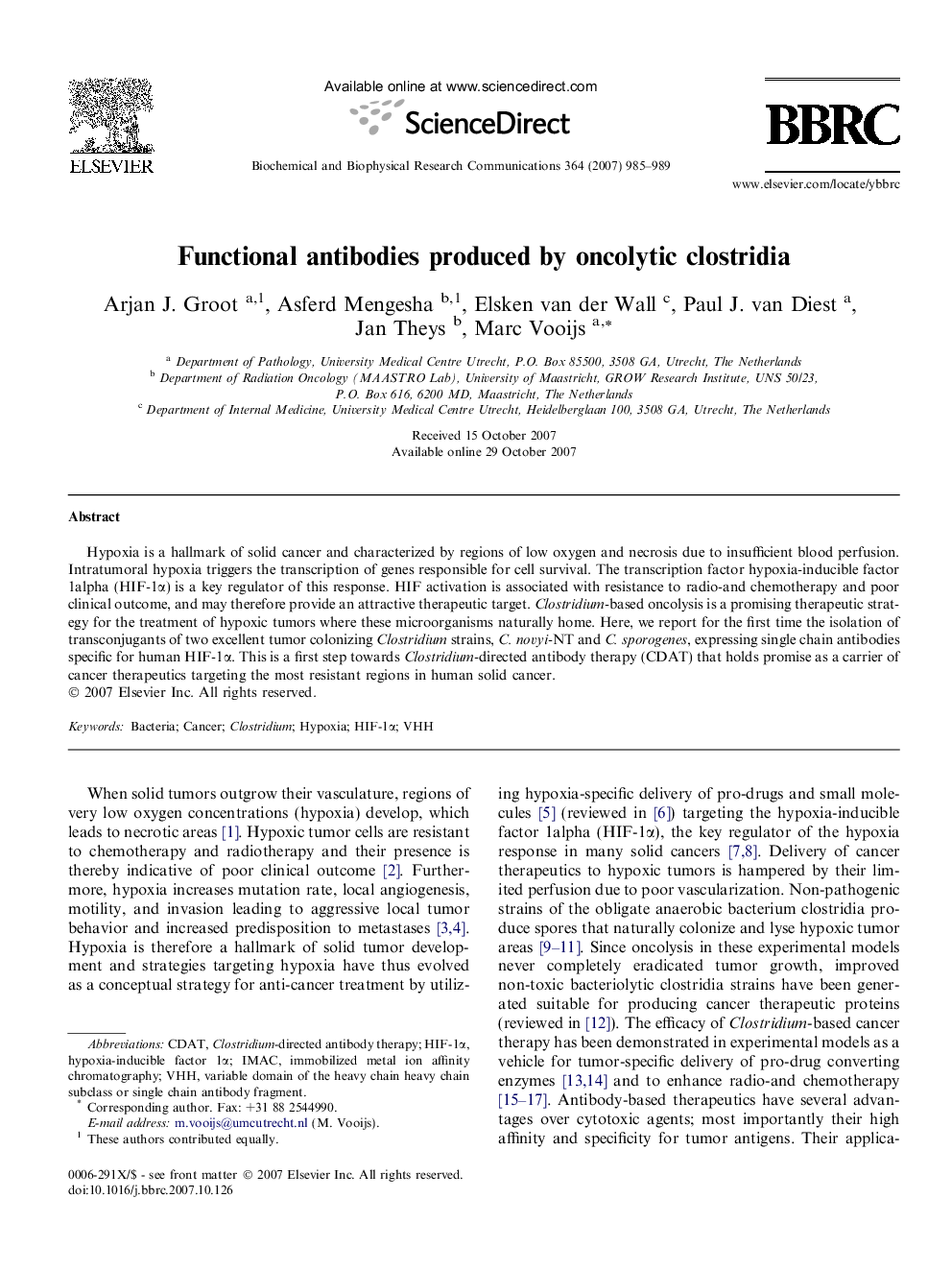 Functional antibodies produced by oncolytic clostridia