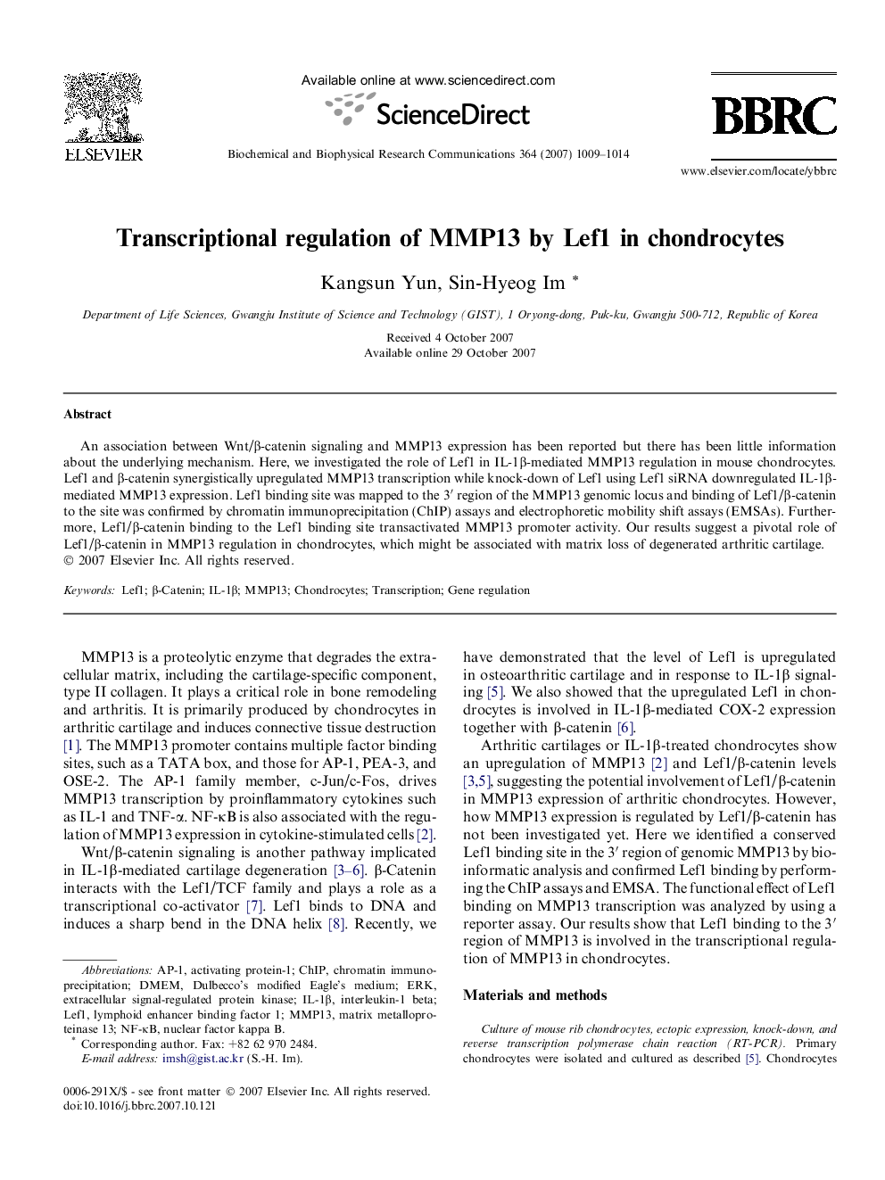 Transcriptional regulation of MMP13 by Lef1 in chondrocytes