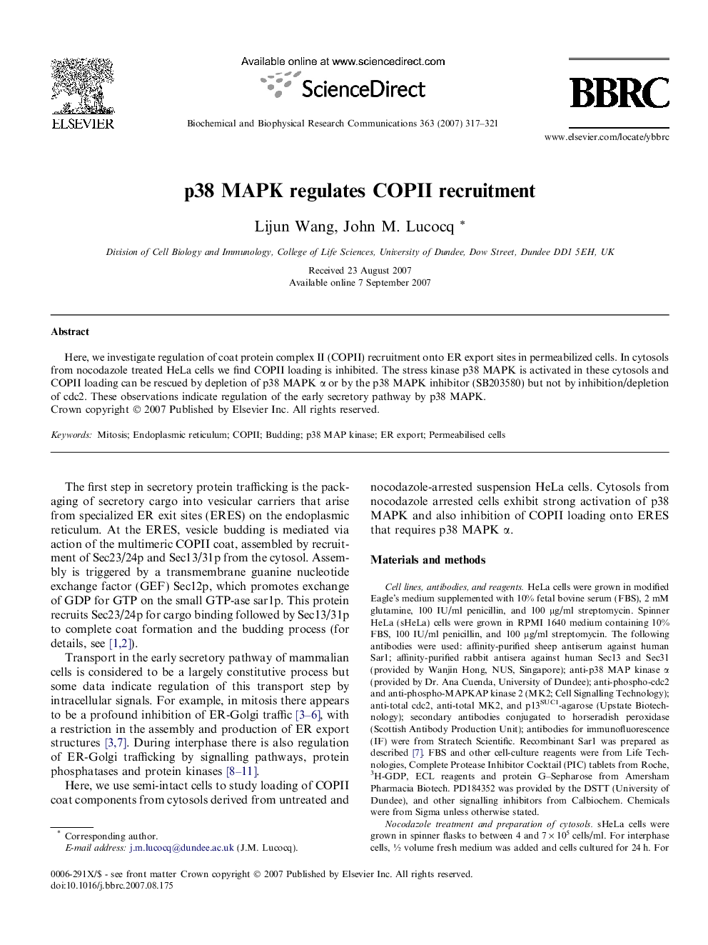 p38 MAPK regulates COPII recruitment