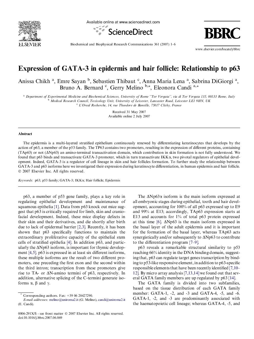 Expression of GATA-3 in epidermis and hair follicle: Relationship to p63