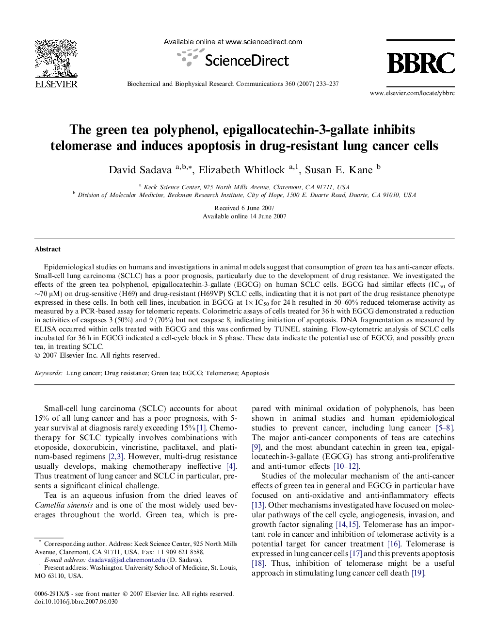 The green tea polyphenol, epigallocatechin-3-gallate inhibits telomerase and induces apoptosis in drug-resistant lung cancer cells