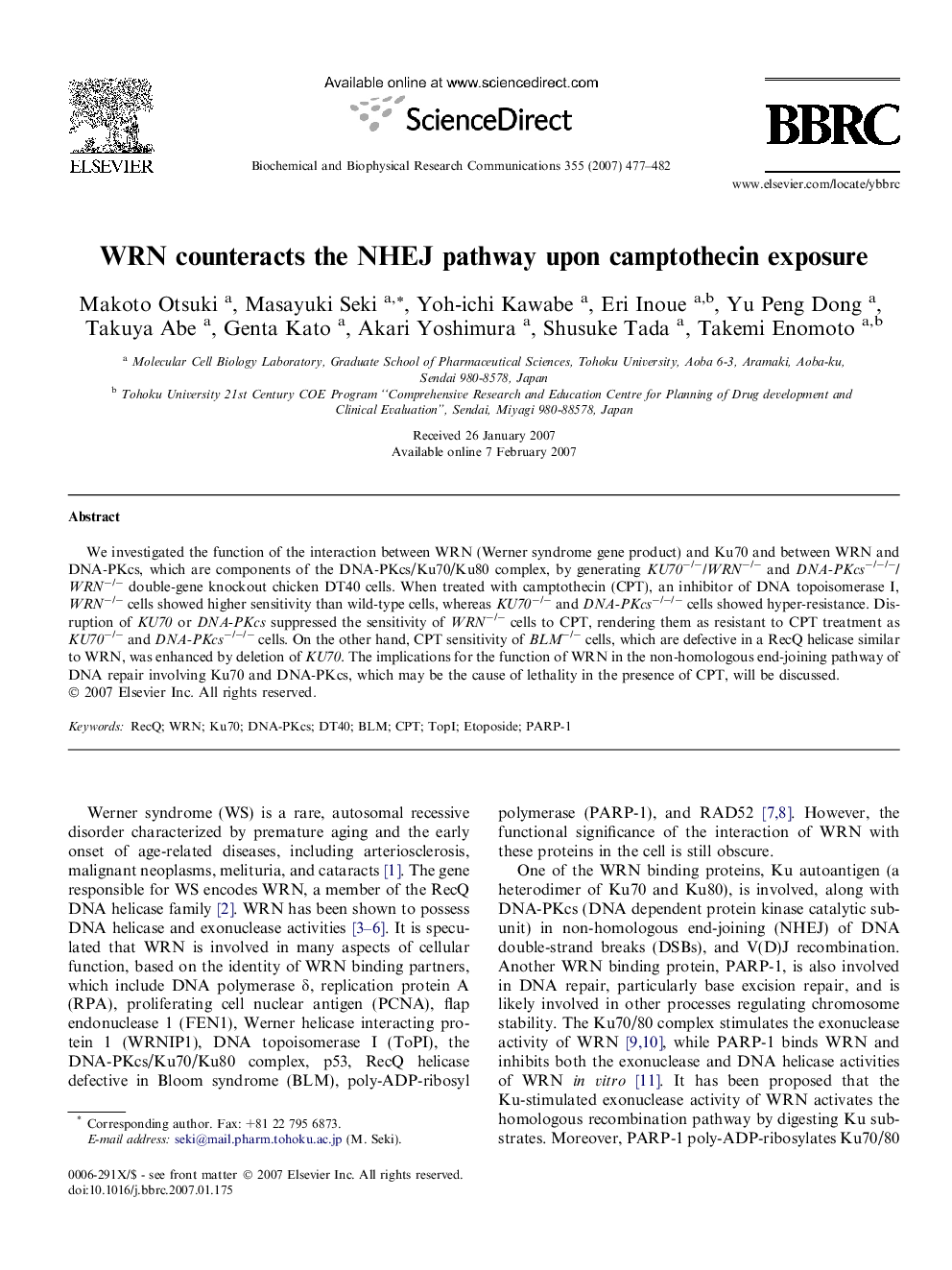 WRN counteracts the NHEJ pathway upon camptothecin exposure