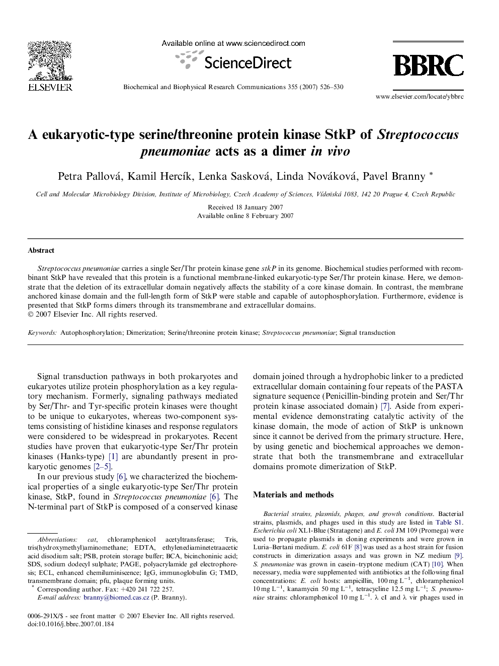 A eukaryotic-type serine/threonine protein kinase StkP of Streptococcus pneumoniae acts as a dimer in vivo