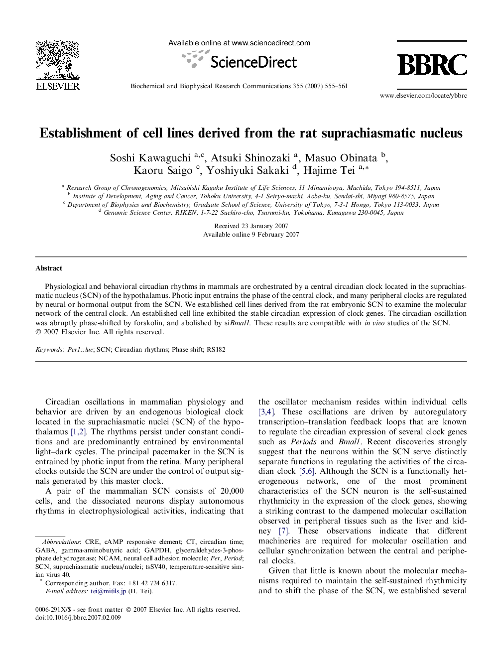 Establishment of cell lines derived from the rat suprachiasmatic nucleus