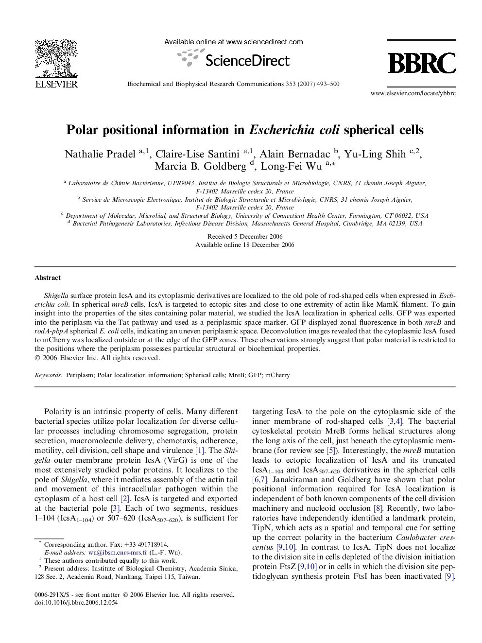 Polar positional information in Escherichia coli spherical cells