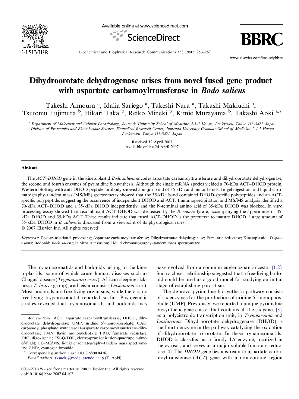 Dihydroorotate dehydrogenase arises from novel fused gene product with aspartate carbamoyltransferase in Bodo saliens