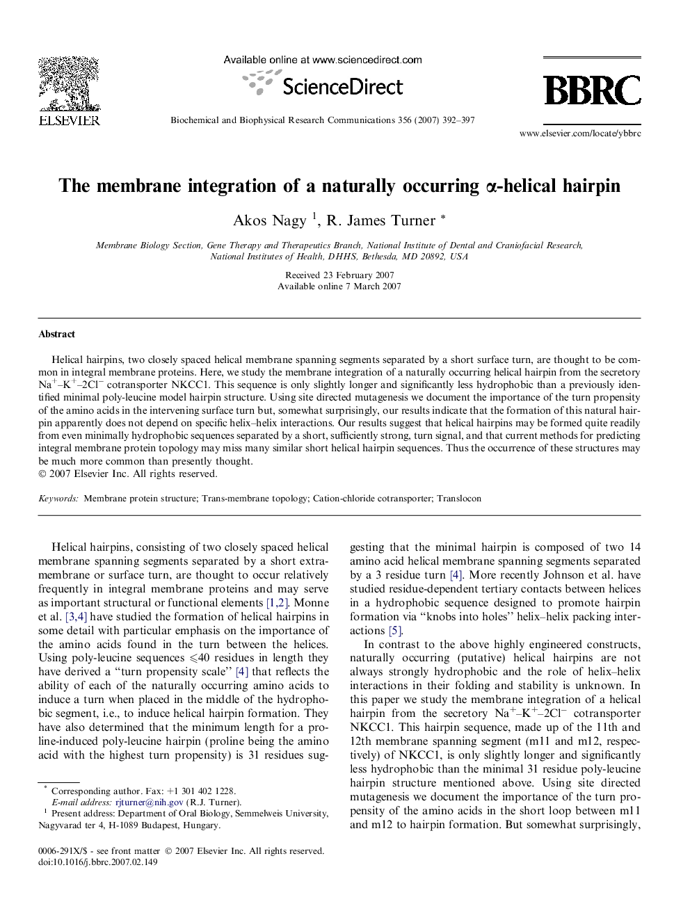 The membrane integration of a naturally occurring Î±-helical hairpin