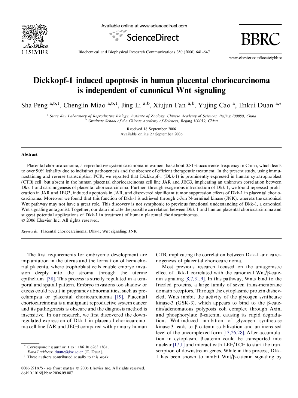 Dickkopf-1 induced apoptosis in human placental choriocarcinoma is independent of canonical Wnt signaling