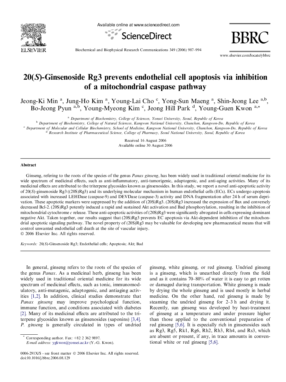 20(S)-Ginsenoside Rg3 prevents endothelial cell apoptosis via inhibition of a mitochondrial caspase pathway