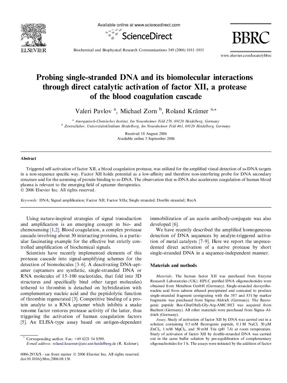 Probing single-stranded DNA and its biomolecular interactions through direct catalytic activation of factor XII, a protease of the blood coagulation cascade