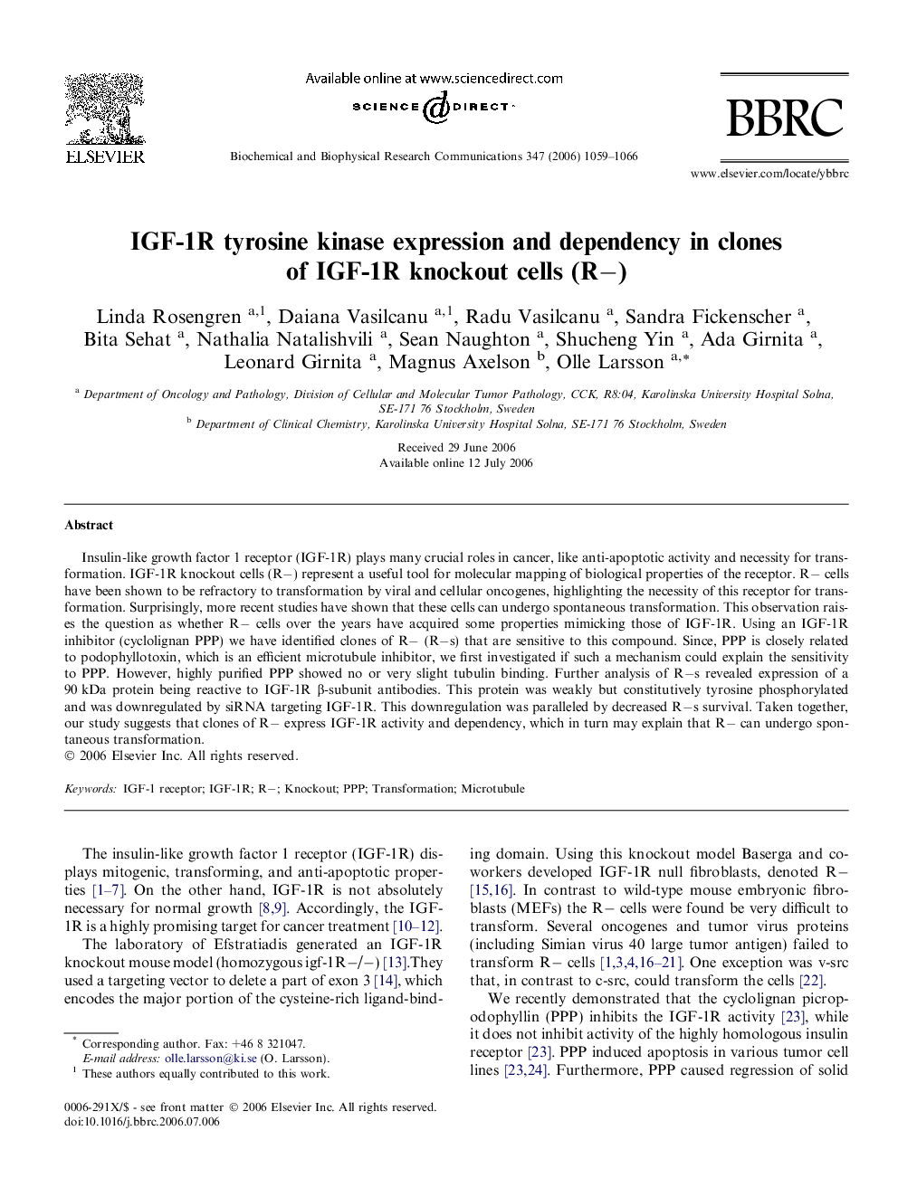 IGF-1R tyrosine kinase expression and dependency in clones of IGF-1R knockout cells (R−)