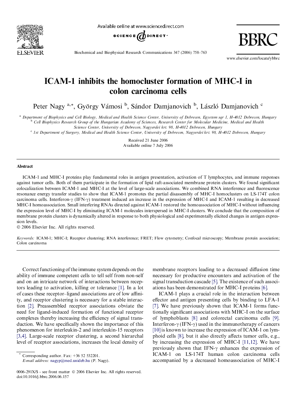 ICAM-1 inhibits the homocluster formation of MHC-I in colon carcinoma cells