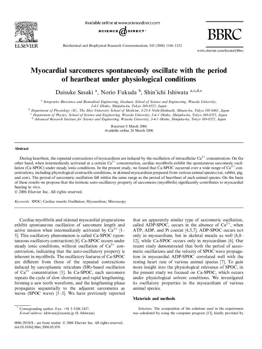 Myocardial sarcomeres spontaneously oscillate with the period of heartbeat under physiological conditions