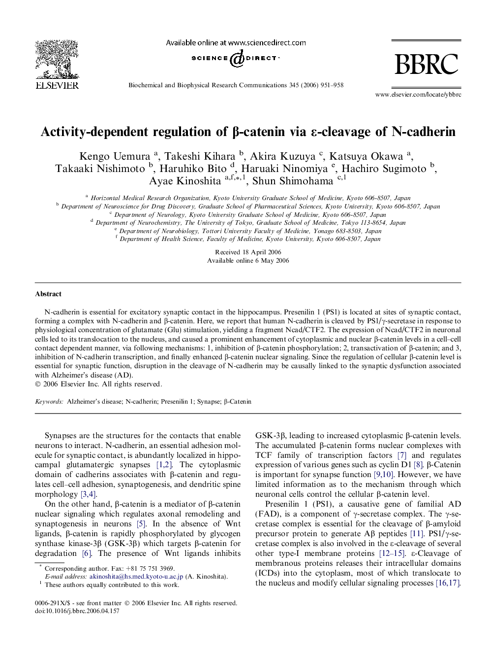 Activity-dependent regulation of β-catenin via ε-cleavage of N-cadherin