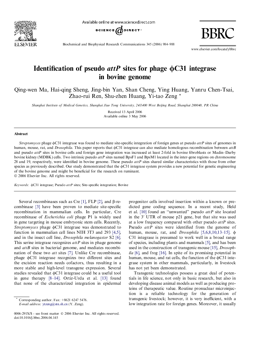 Identification of pseudo attP sites for phage ϕC31 integrase in bovine genome