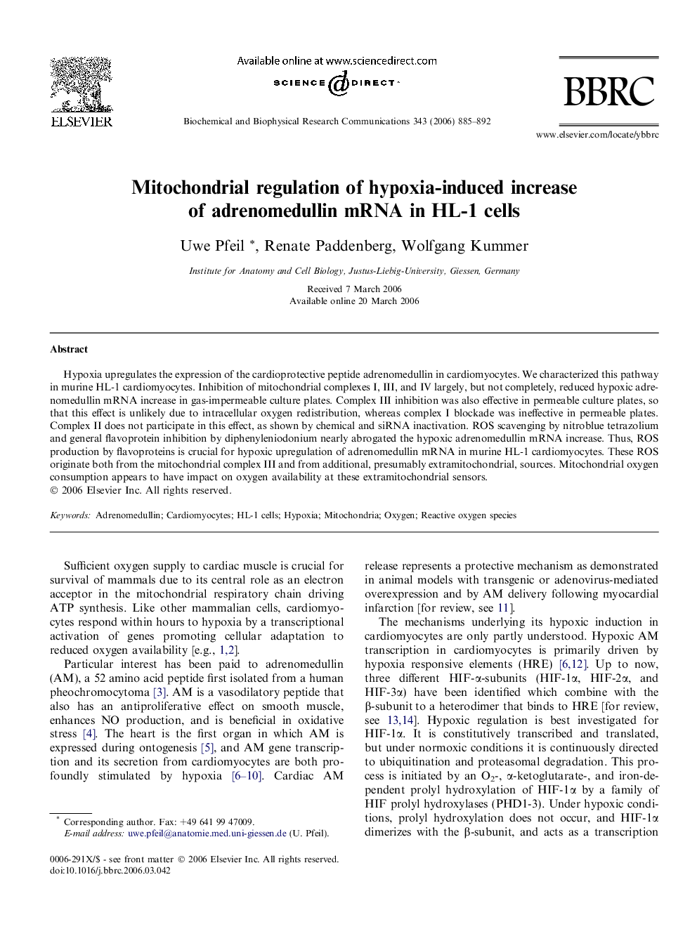 Mitochondrial regulation of hypoxia-induced increase of adrenomedullin mRNA in HL-1 cells