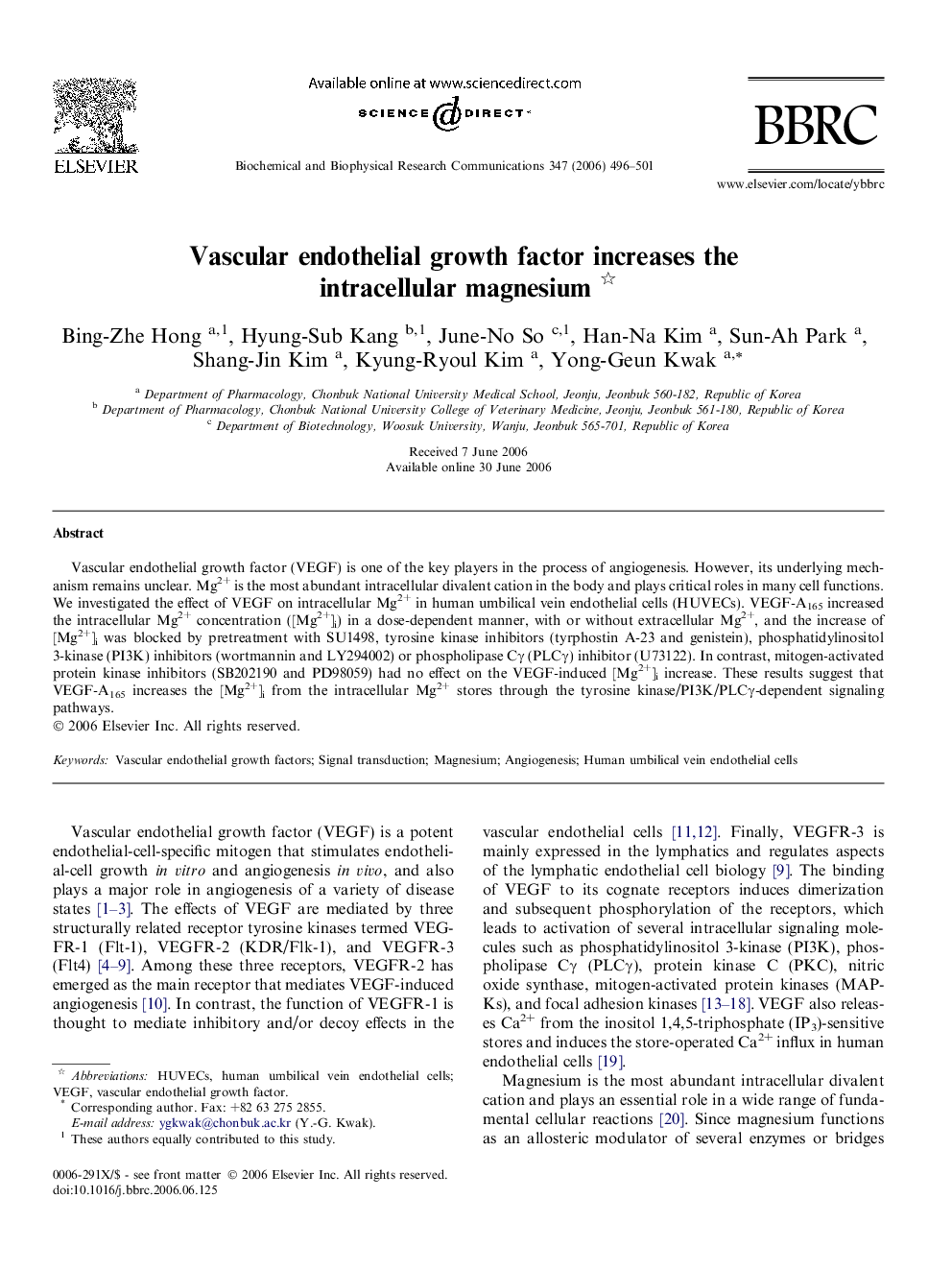 Vascular endothelial growth factor increases the intracellular magnesium 