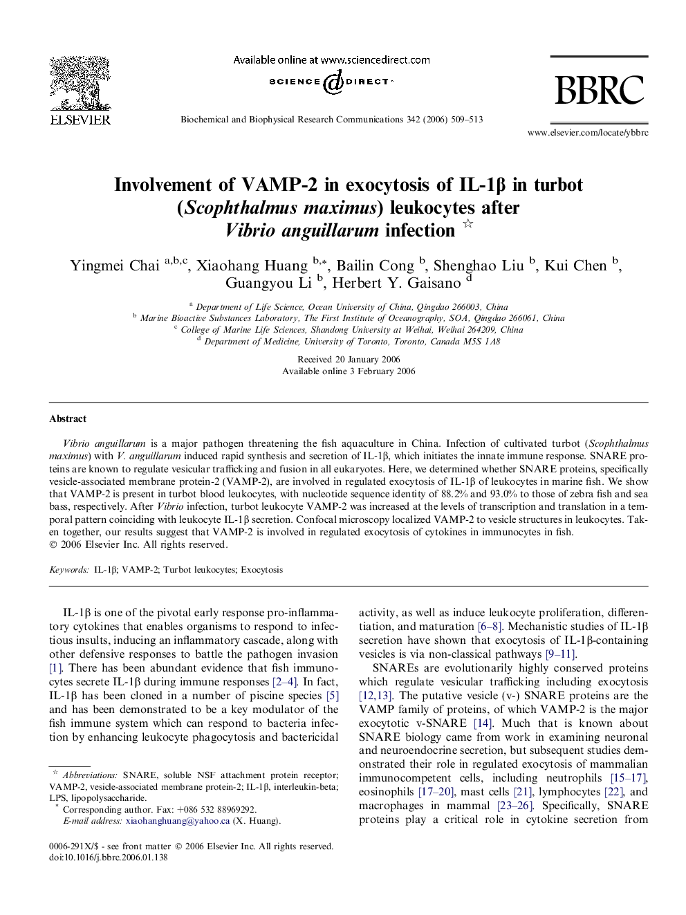 Involvement of VAMP-2 in exocytosis of IL-1β in turbot (Scophthalmus maximus) leukocytes after Vibrio anguillarum infection 