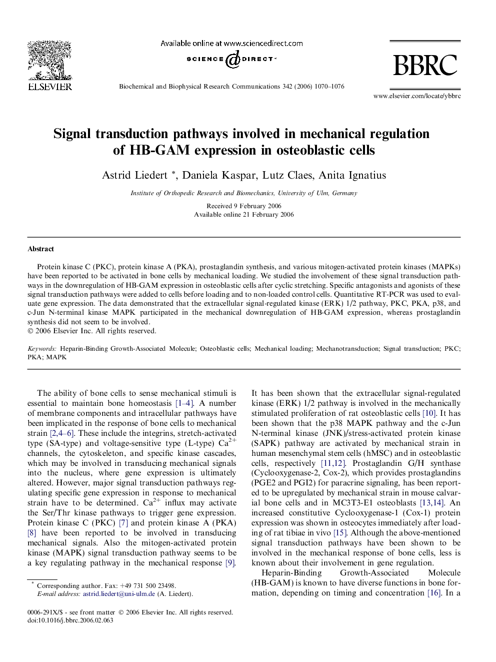 Signal transduction pathways involved in mechanical regulation of HB-GAM expression in osteoblastic cells