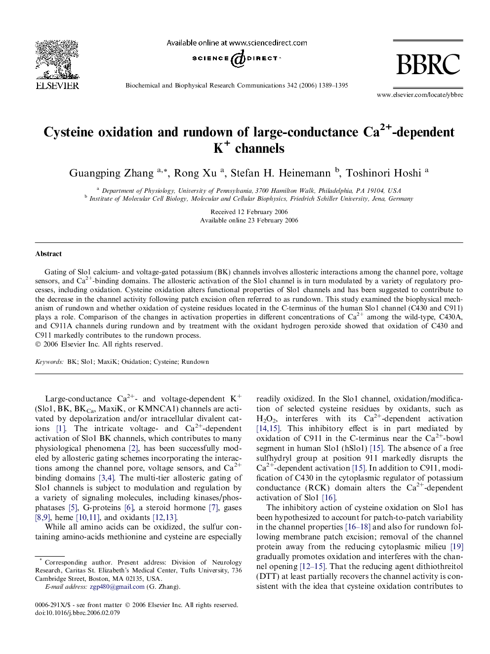 Cysteine oxidation and rundown of large-conductance Ca2+-dependent K+ channels