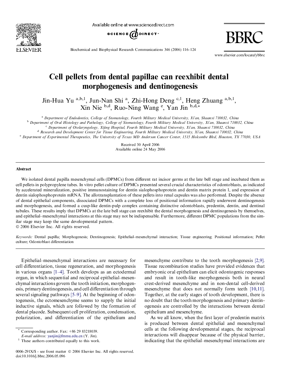 Cell pellets from dental papillae can reexhibit dental morphogenesis and dentinogenesis