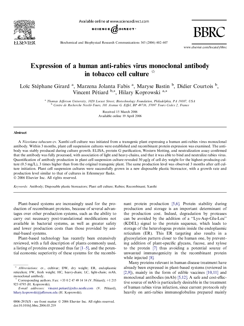 Expression of a human anti-rabies virus monoclonal antibody in tobacco cell culture 