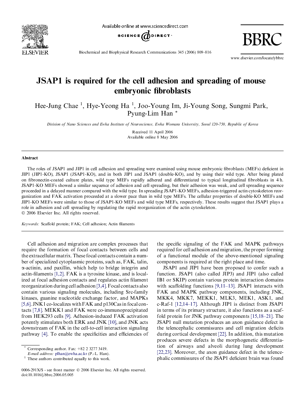 JSAP1 is required for the cell adhesion and spreading of mouse embryonic fibroblasts