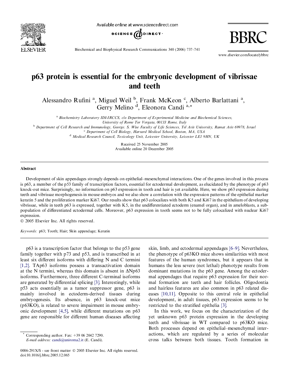 p63 protein is essential for the embryonic development of vibrissae and teeth