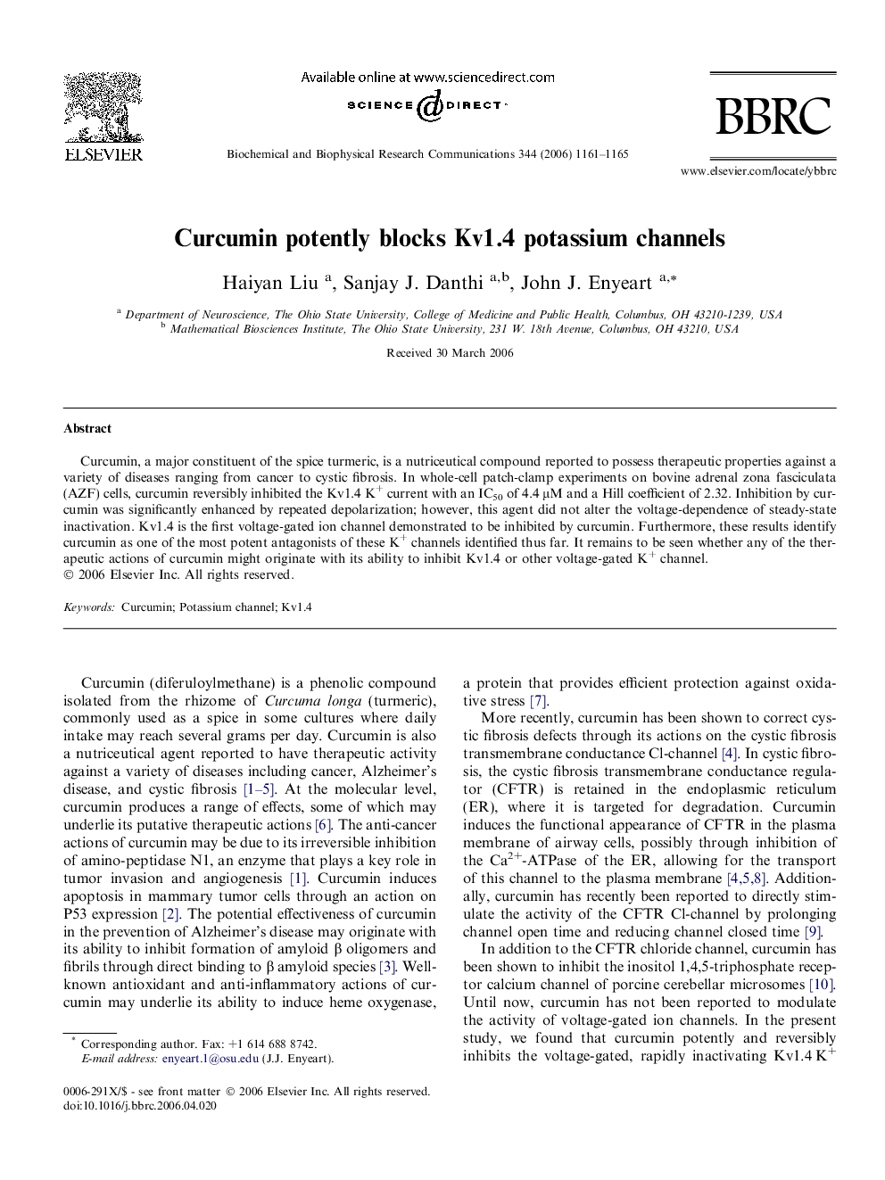 Curcumin potently blocks Kv1.4 potassium channels