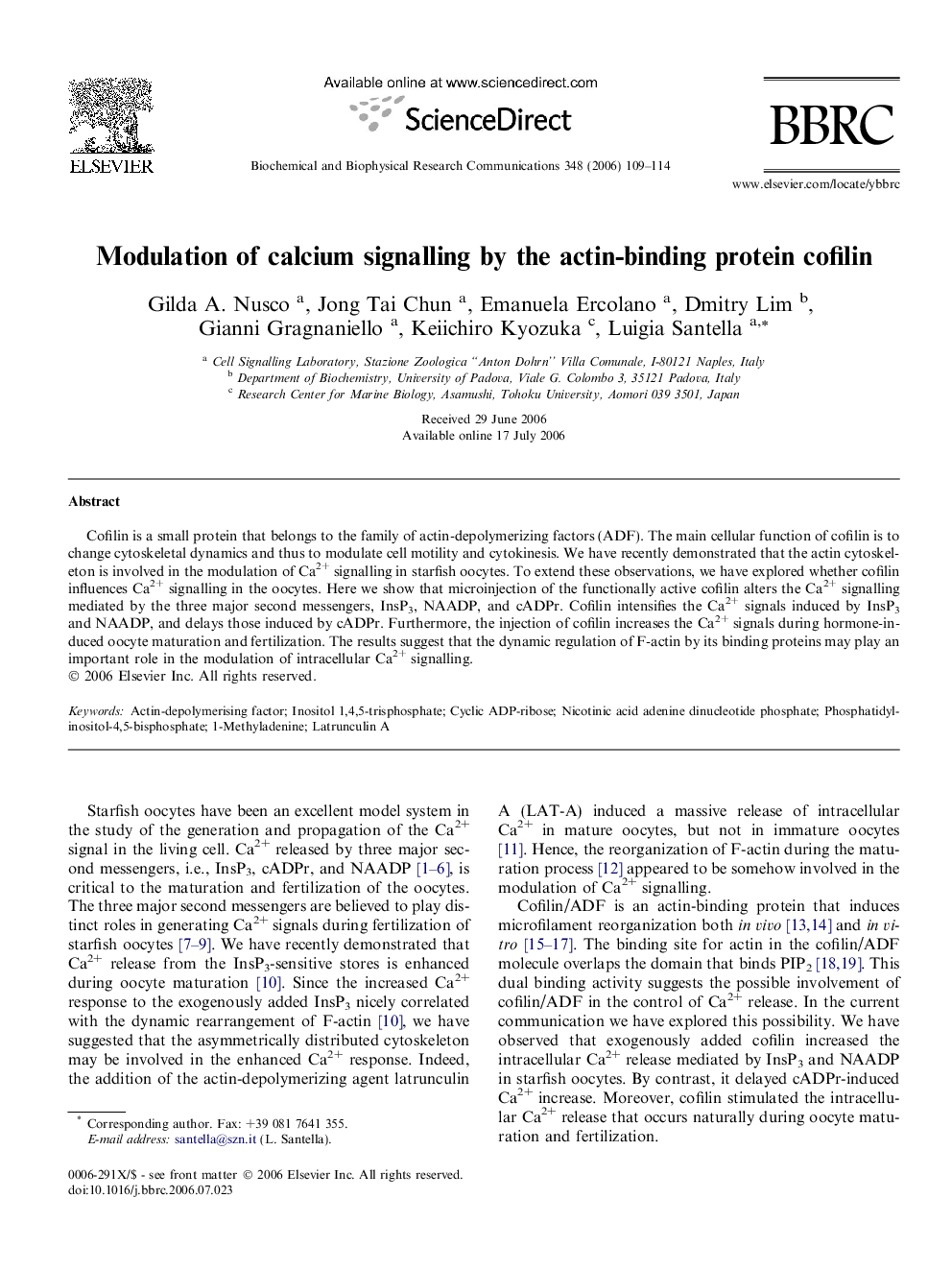 Modulation of calcium signalling by the actin-binding protein cofilin