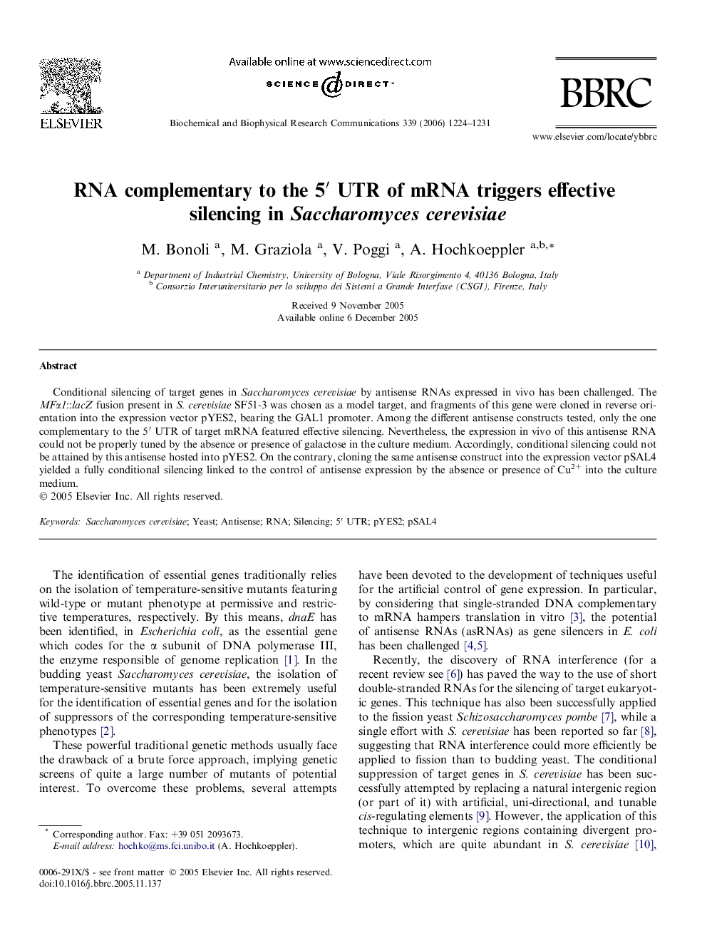 RNA complementary to the 5′ UTR of mRNA triggers effective silencing in Saccharomyces cerevisiae