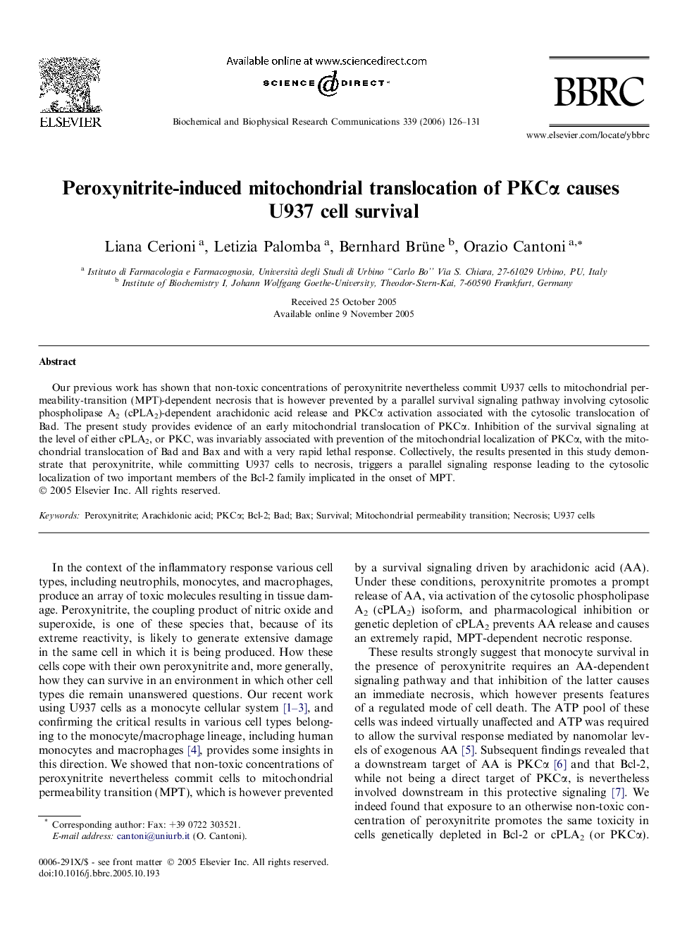 Peroxynitrite-induced mitochondrial translocation of PKCα causes U937 cell survival