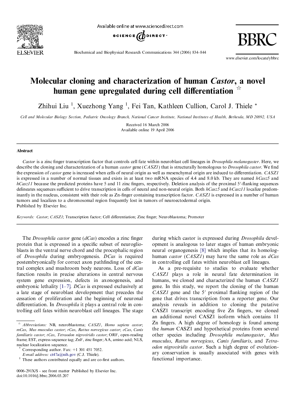 Molecular cloning and characterization of human Castor, a novel human gene upregulated during cell differentiation 