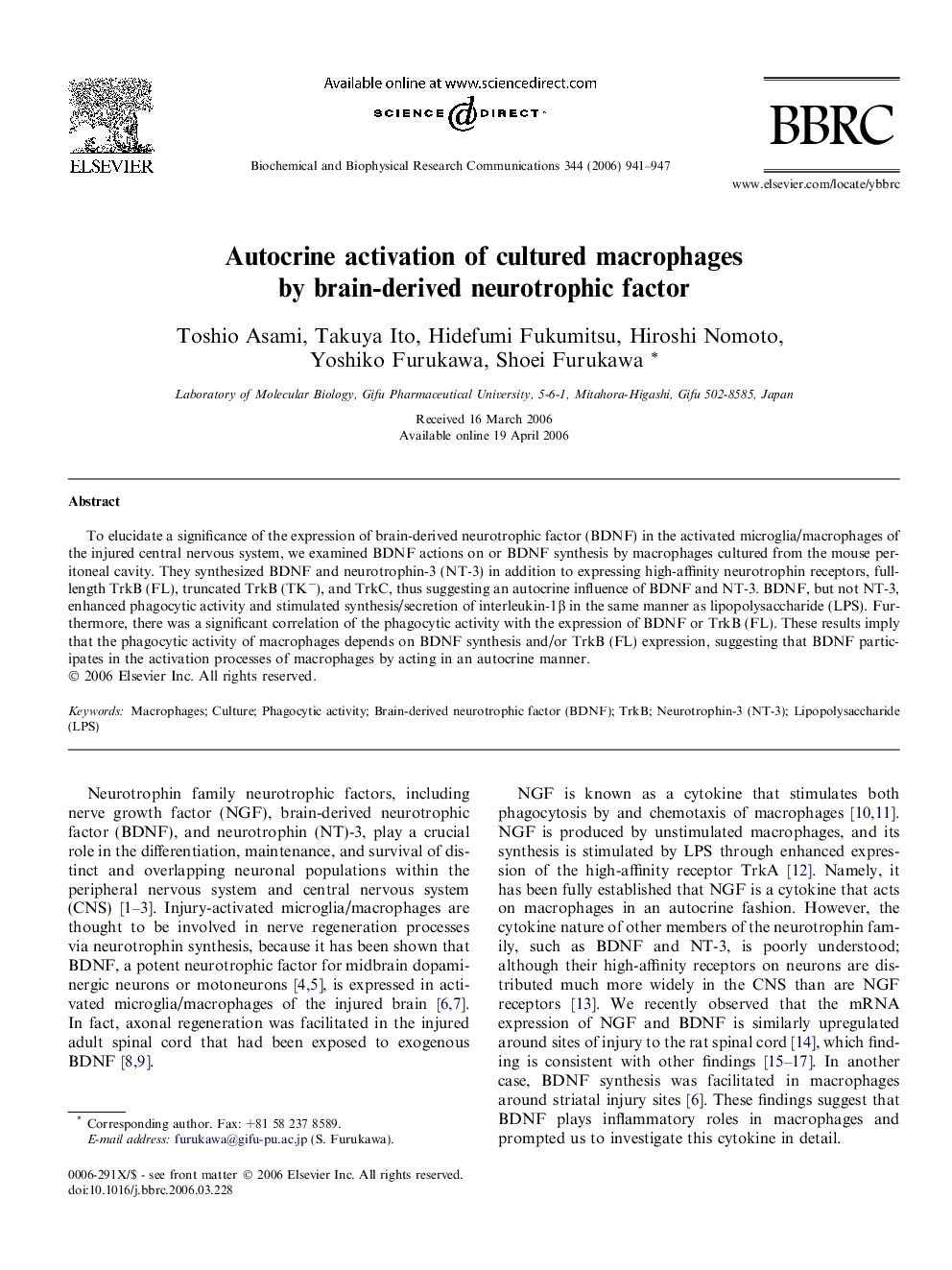 Autocrine activation of cultured macrophages by brain-derived neurotrophic factor