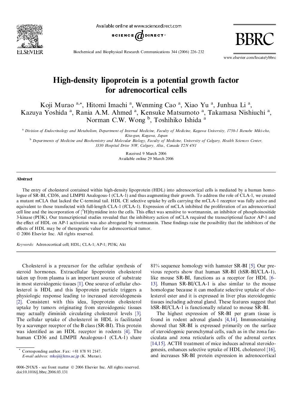 High-density lipoprotein is a potential growth factor for adrenocortical cells