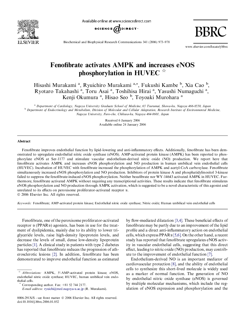 Fenofibrate activates AMPK and increases eNOS phosphorylation in HUVEC 