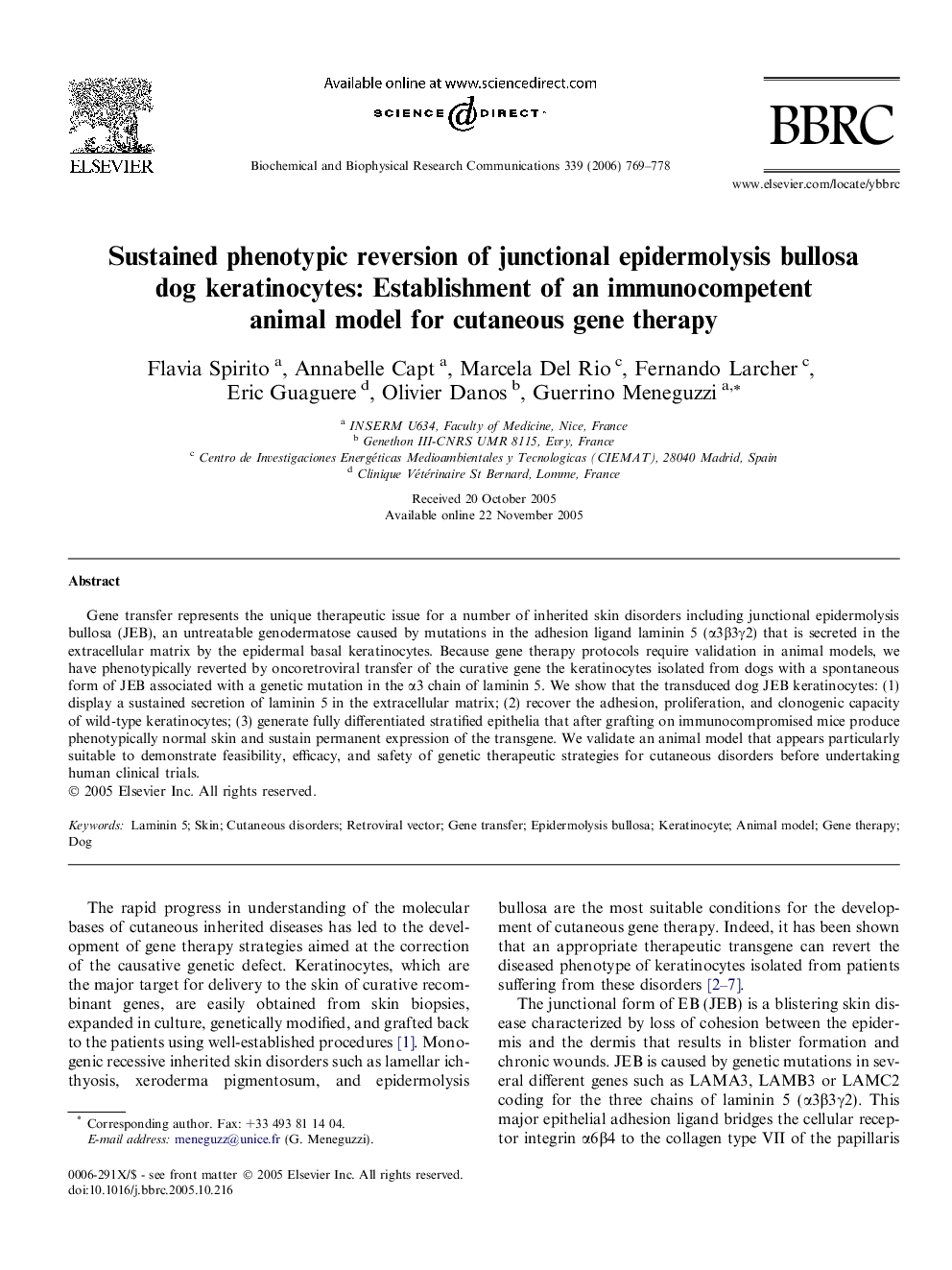 Sustained phenotypic reversion of junctional epidermolysis bullosa dog keratinocytes: Establishment of an immunocompetent animal model for cutaneous gene therapy