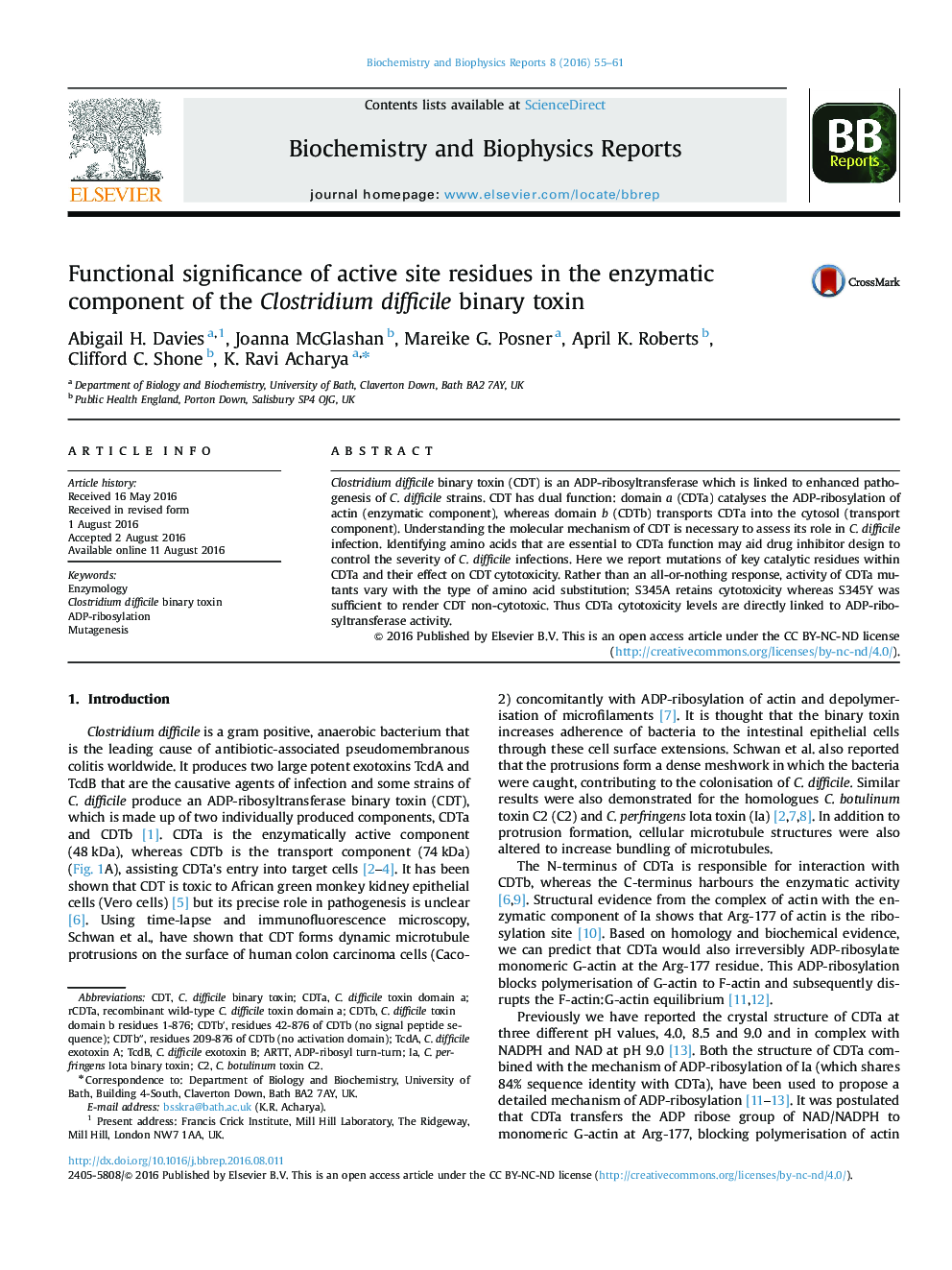 Functional significance of active site residues in the enzymatic component of the Clostridium difficile binary toxin