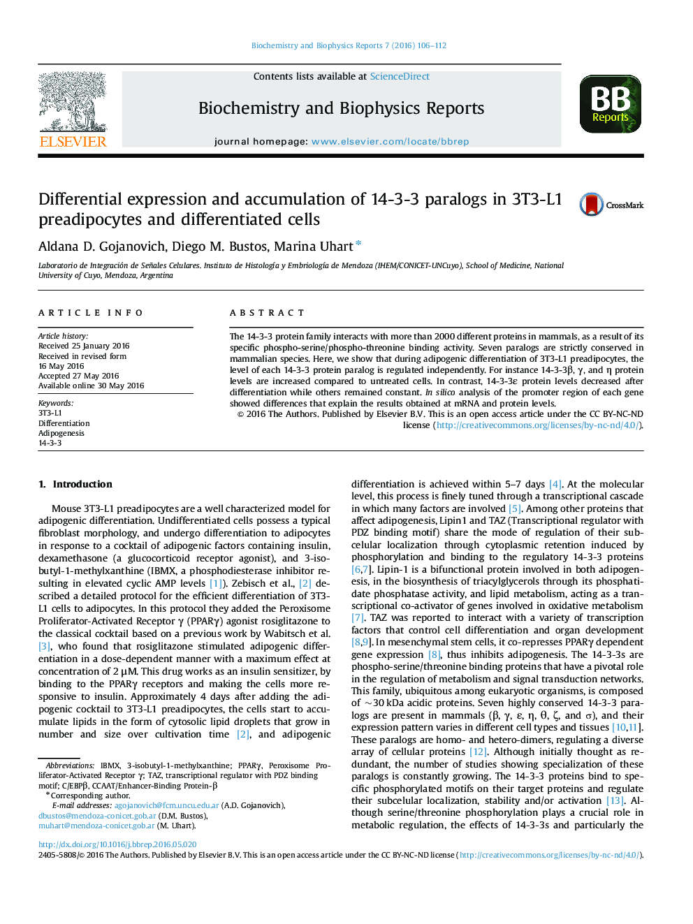 Differential expression and accumulation of 14-3-3 paralogs in 3T3-L1 preadipocytes and differentiated cells