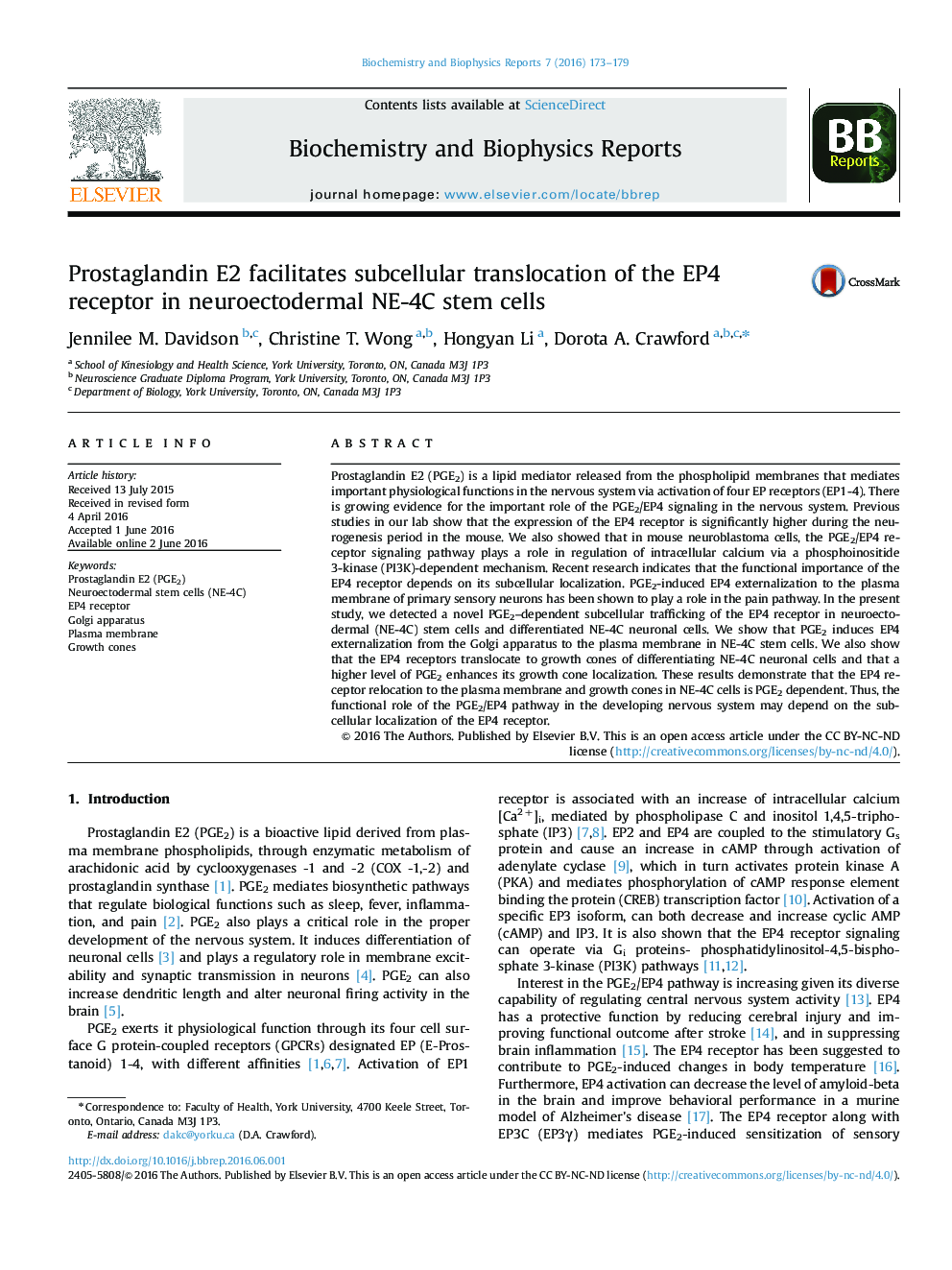 Prostaglandin E2 facilitates subcellular translocation of the EP4 receptor in neuroectodermal NE-4C stem cells