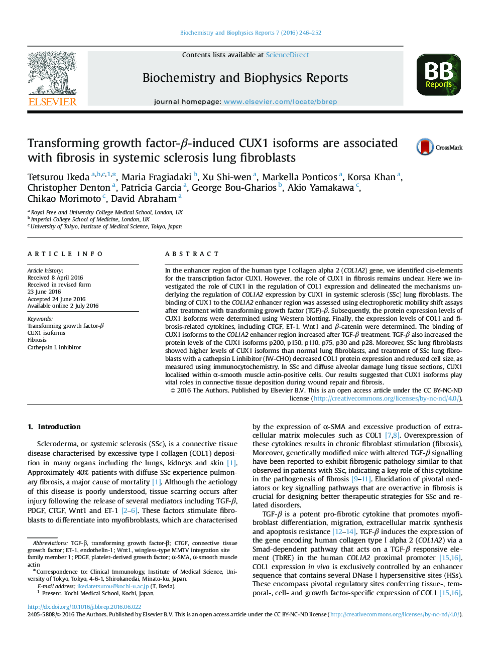 Transforming growth factor-Î²-induced CUX1 isoforms are associated with fibrosis in systemic sclerosis lung fibroblasts